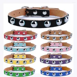 Obroże dla psa skórzana skórzana punkowa szczeniąt dla małego naszyjnika Pet Produkt Halsband Hond Perros