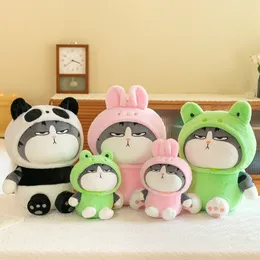 cute cat plush doll soft fill pillow grab machine doll for girls to transform into speechless cat doll wholesale