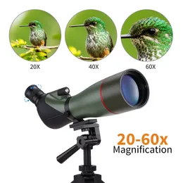 Teleskopkikare 2060x80 Spotting Scope Watertproof för fågelskådning Target Shootch Achery Range Outdoor Activiteter med stativ 230322