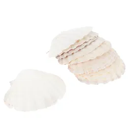 Pendant Necklaces Shells Scallop Shell For Plate Baking Sea Plates Tray Food Serving Large Dish Natural Crafts Snack White Seashells