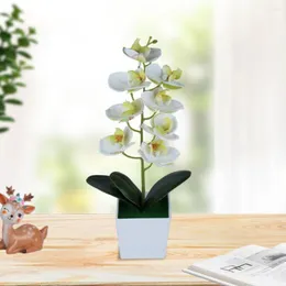 Decorative Flowers Attractive Flower Display Durable Wide Application Portable Butterfly Orchid