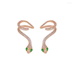 Studörhängen högkvalitativ kvinna Elegant strass Snake Cubic Zirconia Gold Color Luxury Gle6137