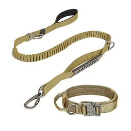Colarinhos de cachorro colares nylon bungee tático duarable ajustável para acessórios de caminhada Medium Large S 230327