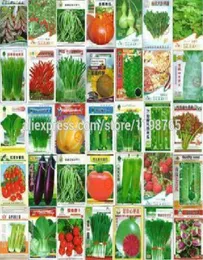 100 szt. Warzywa Bonsai Plant Cucumber Bakłażan Kopa Dyniowa kapusta szalotka marchewkowa