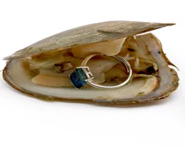 Fortune zoetwater oesters met sterling zilveren edelsteen ring of parel ring sieraden geschenken shell love wens Pearl oyster vacuumpaChed4497031