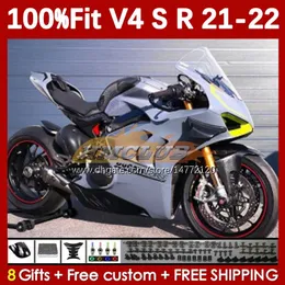 Motorcycle Fairings For DUCATI Street Fighter Panigale V 4 V4 S R V4S V4R 2018-2022 Bodywork 167No.29 V4-S V4-R 21 22 V-4S V-4R 2021 2022 Injection Molding Body stock grey