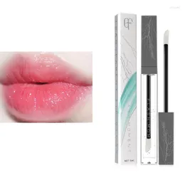 LIGH GLSS KWATWOŚCI LEWNY TRANSPARTOWA RUBA LIPLOSSU Fall Winter Chroń usta Makeup Clear Liquid Lipstick Zestaw TSLM2