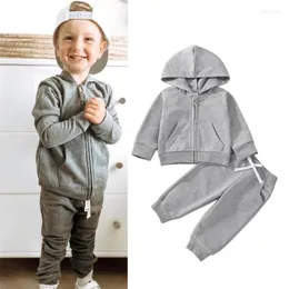 Kleidung Sets Kleinkind Kind Mädchen Junge Herbst Kleidung Anzug Langarm Mit Kapuze Reißverschluss Einfarbig Tops Jogger Kordelzug Hosen 2St