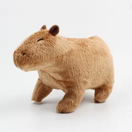 Pluszowe lalki 18cm puszysty Capybara Plush Doll Kawaii Capybara Symulacja Zabawna Symulacja Symulacja Zwierzęta Zwierzę