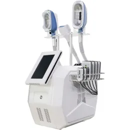 articles de beauté machine de cryolipolise multifonctionnelle portable à double contrôle à double voie