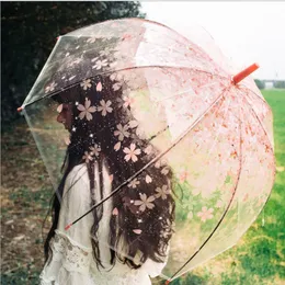 Umbrellas Cherry Blossom Transparent Umbrella Semiautomatic Children's Umbrella Apollo Cute Umbrella Long Handle Girl Umbrella 230330