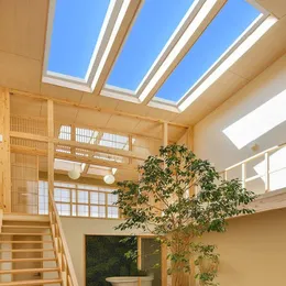 Novelbelysning Led Smart Blue Sky Light Skylight Artificial Clear Sky Light - Smart Living Room Office Study Badrum Naturligt solljus