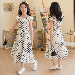 Kläderuppsättningar 2023 Summer Kid Dress Girl Clothing Polka prickar Chiffon Blus Skjorta skiktad kjol Bridemaid Tulle sundress tonåringar 6 8 12 år