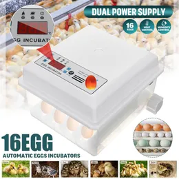 Terrarien Automatische 16 Eier Inkubator Mini Brooder Maschine Digital Display Haushalt Huhn Inkubator Inkubation Ausrüstung