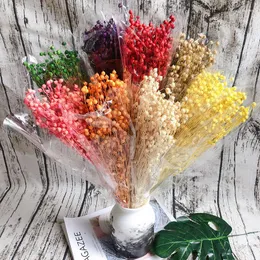 Decorative Flowers 40g Rich Bean Acacia Beans Natural Dry Bouquet Preserved Artificial Flower Wedding Nordic Home Wall Wreath Decor