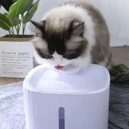 Supplies 3L Mute Automatic Cat Water Fountain Filter Indoor Drinker for Cat Water Dispenser Dog Pet Drinking Fountain Drinking Bowl