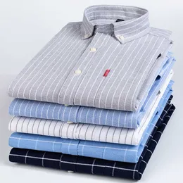 New cotton long-sleeved casual plingham Oxford shirt men's business stripe slimming non-ironing T230502