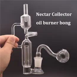 Hot Selling 14mm Female Glass Oil Burner Bong Hookah Water Pipes med tjocka Pyrex Clear Heady Recycler Dab Rig Ash Catcher med manlig glasoljebrännare Pipe billigast