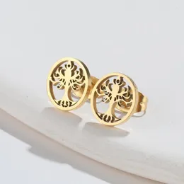 Stud Earrings Gold Color Music Notes Stainless Steel Musical Fans Tree Of Life Leaf For Women Sweet Fruit Funny Jewelry 2023