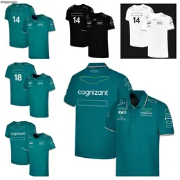Erkekler T-Shirts 2023 Racer T-Shirt Formula 1 Aynı yeni sıcak satan yarış takımına sahip F1 Team T-Shirt Yaz Kısa Kollu Plus T-Shirt