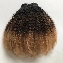 Brezilya Afro Kinky Kıvırcık İnsan Saç Paketleri 1b/4/27 ombre renk iki tonlu bal sarışın saç örgüsü