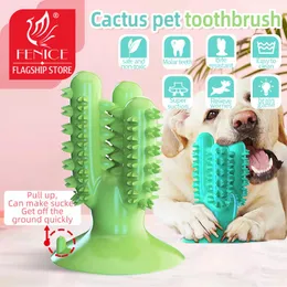 Żucie Fenice Pet Dog Zamania kaktusów trzonowiec Odporny na gęt pensa pies sprzątanie pies szczoteczki do żucia zabawki pies interaktywny trening