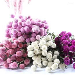 장식용 꽃 20pcs 작은 딸기 과일 잔디 천연 건조 꽃 인공 식물 웨딩 꽃다발 마리이지 룸 홈 장식 살롱