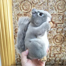 Scratte Eichhörnchen Plüschtier – 8 Zoll (20 Cm), Weich, Kuschelig, Perfekt Als Geschenk
