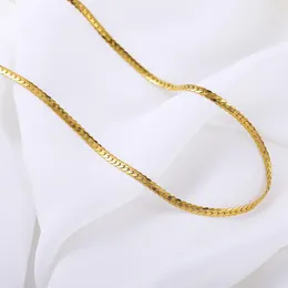 Kedjor rostfritt stål hästspäng halsband för kvinnor guld färg lång kedja choker krage kvinnlig justerbar hummerlås