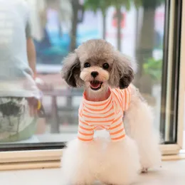 조끼 ins 스타일의 애완 동물 개 옷 바닥 셔츠 형광 줄무늬 Tshirt 테디 여름 가을 드레스 고양이 의상 소녀 개 셔츠