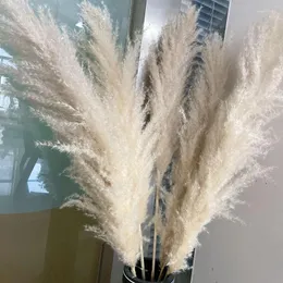 Dekoratif çiçekler düğün büyük pampas çim 48 "kuru kabarık doğal kurutulmuş ev boho dekor ülke pompas çiçek dekorasyon