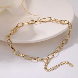 Zincirler Modaya uygun altın renkli zincir kolyeler kadınlar için punk yaka boho chokers takı estetik kalın kolye