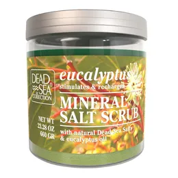 Salt Body Scrub – Large 23 98 OZ – mit Eukalyptus – Peeling-Effekt – Enthält organische ätherische Öle und natürliche Mineralien aus dem Toten Meer
