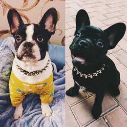 Hundehalsbänder PunkStyle Anti-biteRivet Pet Collar Harness Super Cool Head Kleine und mittelgroße Leine 2023