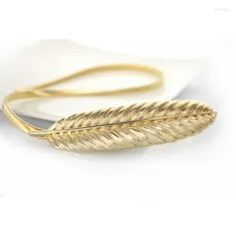 Cinturas (10 piezas/lote) Diseño de marca de cinturón de plumas de metal en oro y plata con vestido de cadena elástica para mujeres ajustados a cualquier cintura