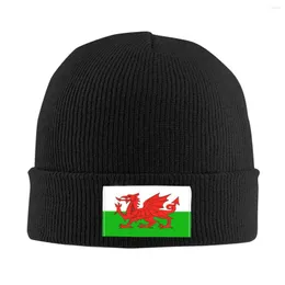 Berets Wales Flag Bonnet Hats Street Knitting Hat For Women Men Warm Winter Welsh Red Skullies Beanies Caps