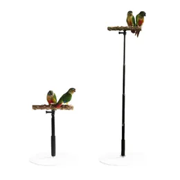 Perches Bird Stand Justerbar Playstand för Bird Pet Bird Training Stand Träutdragbar abborreställ för papegojor Parakett Bird