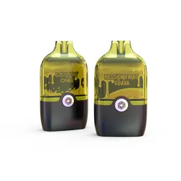 China Vape Factory Wholesale Tastefog Vape Oner 5200pufffs Pod Rechargeable Open System Vape Pod Vape Kit