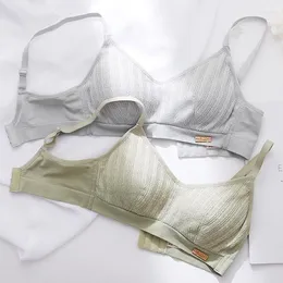 Bras Sets Wasteheart For Women Fashion Green Gray Sexy Lingerie Straps Lace Maiden Cotton Panties Wireless Bra Underwear Japanese