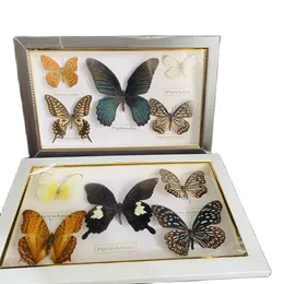 Obiekty dekoracyjne figurki Piękne próbki motyla Malarstwo dekoracyjne Kolekcja Butterfly PO Ramie dekoracja dekoracja ślubna Dekoracja domu 230508