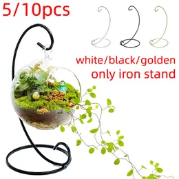 Storage Boxes Bins 5 10pcs Home Decor Bauble Holder Stand Iron Plant Micro Landscape Hanging Supporter For Bedroom Garden Ornament 230508