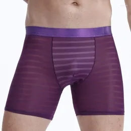 MUITAS PONTAS MASCAS MASCAS MOMENTO LONGO MENOS DE AUTAÇÃO DE AUTAÇÃO GELO BUBILHADORES MENINOS MAN BRIPLECLÁVEL SEXY MAN BOIXER SHORTS SOLIDO