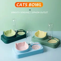 Alimentando as mais novas tigelas para cães e gatos com dispensador de água, pratos de comida de gato inclinados para animais de estimação internos, duráveis, facilmente desmontáveis, tigela para animais de estimação, economia de espaço