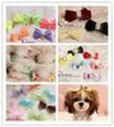 Gratis frakt Handgjorda designer hundtillbehör Pet Dog Bows Dog Grooming Hair Bows With Clipper Stylish Pet Presents 100st/Lots