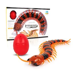 Leksaker infraröd fjärrkontroll Centipede Tricky Simulation Scolopendra Electric Cat Interactive Toy Halloween Ornaments Props for Kids