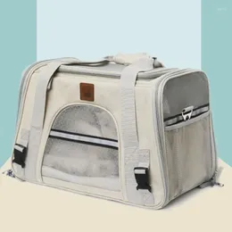 Cat Carriers Animal Outdoor Cats Small Backpacks Rabbits Travel Stroller Trasportino Per Gatti Pets Accessories