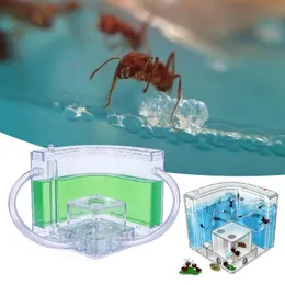 Supplies Pet Toy Colorful Ant Farm Ants House Funny Transparent Habitat Villa Feeding Area Specially Kids Gift Decoration Ant Nest