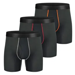 Underpants 3pcs устанавливают длинные боксерские шорты мужчины трусики сетки с мешами самец мужского нижнего белья для мужчин сексуально Homme Boxershorts Box Gay 230510