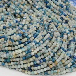 Loose Gemstones Natural Simple Quality Hauyne / Hauynite Faceted Round Beads 3.2mm