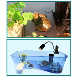 Fornisce un mini acquario per tartarughe premium con piattaforma rampa basking, design multiarea, strumenti per acquario Habitat tartaruga